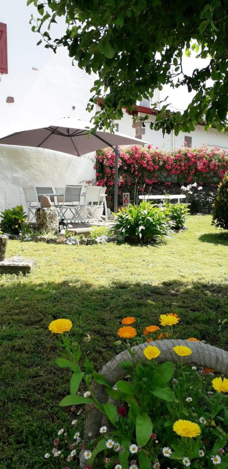 Maison Bidegain Berria Ispoure Εξωτερικό φωτογραφία